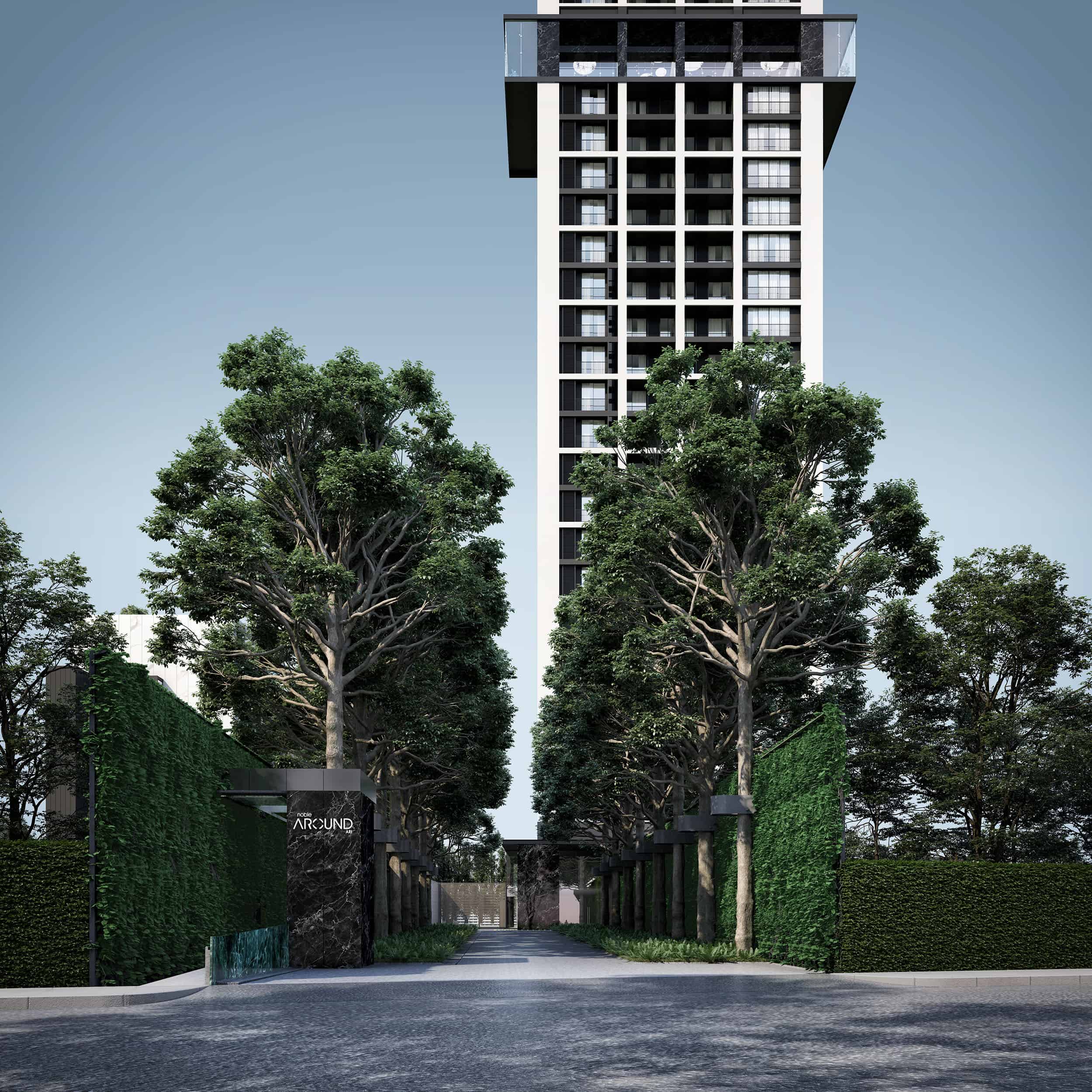Noble Around Ari — Image 4
