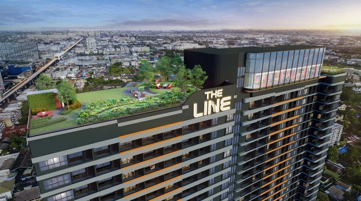 The Line Vibe — Image 3